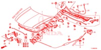 MOTORHAUBE (LH) für Honda ACCORD DIESEL 2.2 S 4 Türen 6 gang-Schaltgetriebe 2014