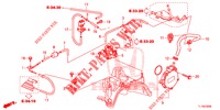 EINBAULEITUNG/UNTERDRUCKPUMPE (DIESEL) für Honda ACCORD DIESEL 2.2 S 4 Türen 5 gang automatikgetriebe 2014