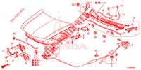 MOTORHAUBE (LH) für Honda ACCORD 2.4 EXCLUSIVE 4 Türen 6 gang-Schaltgetriebe 2014