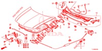 MOTORHAUBE (LH) für Honda ACCORD 2.4 S 4 Türen 6 gang-Schaltgetriebe 2014