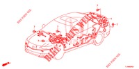 KABELBAUM (2) (LH) für Honda ACCORD 2.0 ELEGANCE PACK 4 Türen 6 gang-Schaltgetriebe 2015
