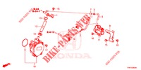 EINBAULEITUNG/UNTERDRUCKPUMPE(DIESEL) ( '05)  für Honda CIVIC DIESEL 1.6 MID 4 Türen 6 gang-Schaltgetriebe 2018