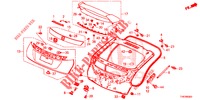 HECKKLAPPENPLATTE(2D)  für Honda CIVIC TYPE R 5 Türen 6 gang-Schaltgetriebe 2015