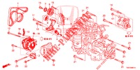 AUTOMATISCHE SPANNVORRICHTUNG (2.0L) für Honda CR-V 2.0 COMFORT 5 Türen 6 gang-Schaltgetriebe 2016