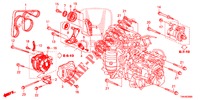 AUTOMATISCHE SPANNVORRICHTUNG (2.0L) für Honda CR-V 2.0 COMFORT 5 Türen 6 gang-Schaltgetriebe 2017