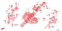 MOTORBEFESTIGUNGEN (2.0L) (MT) für Honda CR-V 2.0 S 5 Türen 6 gang-Schaltgetriebe 2017