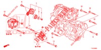 AUTOMATISCHE SPANNVORRICHTUNG (1.5L) (KE/KG) für Honda HR-V 1.5 ELEGANCE 5 Türen 6 gang-Schaltgetriebe 2016