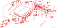 MOTORHAUBE (RH) für Honda ACCORD 2.0 EX 4 Türen 5 gang automatikgetriebe 2013