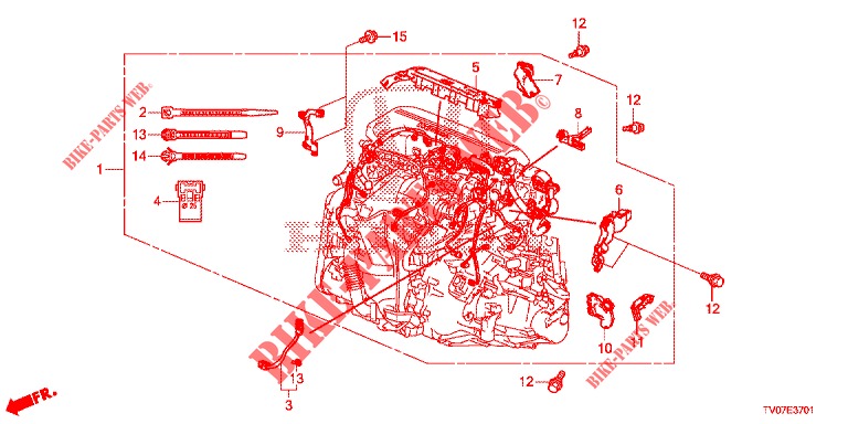 KABELBAUM (DIESEL) (1.6L) für Honda CIVIC DIESEL 1.6 S 5 Türen 6 gang-Schaltgetriebe 2013