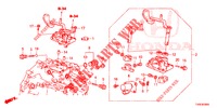 SCHALTHEBEL (DIESEL) für Honda CIVIC DIESEL 1.6 EX 5 Türen 6 gang-Schaltgetriebe 2014